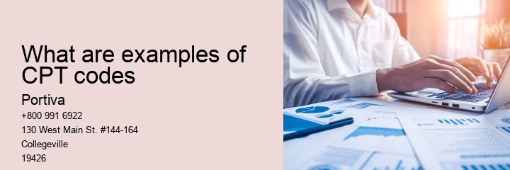 What are examples of CPT codes